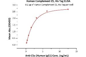 Immobilized Human Complement C5, His Tag (ABIN6731338,ABIN6809893) at 2 μg/mL (100 μL/well) can bind Anti-C5a (Human IgG1) with a linear range of 0. (C5 Protein (AA 19-1676) (His tag))