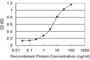 Detection limit for recombinant GST tagged FARS2 is 0. (FARS2 antibody  (AA 351-451))