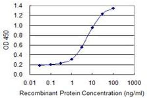 Detection limit for recombinant GST tagged FASN is 0. (Fatty Acid Synthase antibody  (AA 1-439))