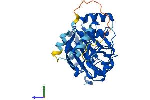 AlphaFold protein structure predicition of Human Recombinant GLYATL2 Protein, UniprotID Q8WU03 (GLYATL2 Protein (AA 1-294) (His tag))
