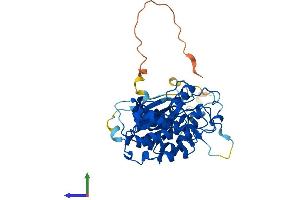 AlphaFold protein structure predicition of Mouse Recombinant Cdk9 Protein, UniprotID Q99J95 (CDK9 Protein (AA 1-372) (His tag))