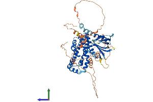 AlphaFold protein structure predicition of Human Recombinant ARHGEF25 Protein, UniprotID Q86VW2