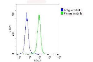 Overlay histogram showing Hela cells stained with (ABIN6242747 and ABIN6578635) (green line). (RPS7 antibody  (AA 7-40))