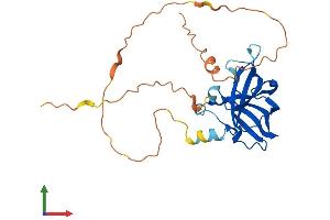 Protein Structure (PS) image for Regulating Synaptic Membrane Exocytosis 4 (RIMS4) (AA 1-269) protein (His tag) (ABIN7551387)