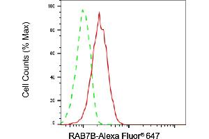Flow cytometric analysis of RAB7B expression in HepG2 cells using RAB7B antibody (ABIN7800104), 1:2,000). (Recombinant RAB7B antibody)