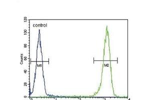 Flow Cytometry (FACS) image for anti-Melanocortin 2 Receptor (Adrenocorticotropic Hormone) (MC2R) (AA 261-288) antibody (ABIN651731)