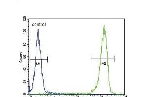 MC2R Antibody (C-term) (ABIN651731 and ABIN2840379) flow cytometric analysis of WiDr cells (right histogram) compared to a negative control cell (left histogram). (MC2R antibody  (AA 261-288))