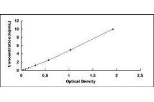 Typical standard curve (MBL2 ELISA Kit)