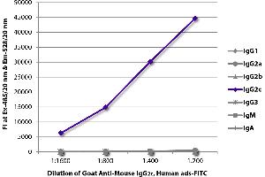 FLISA plate was coated with purified mouse IgG1, IgG2a, IgG2b, IgG2c, IgG3, IgM, and IgA. (Goat anti-Mouse IgG2c (Heavy Chain) Antibody (FITC))