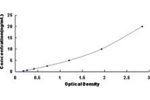 Typical standard curve (NFYC ELISA Kit)