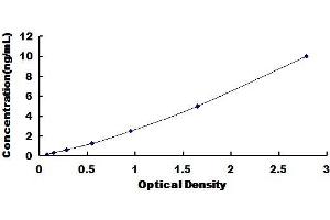 Superoxide Dismutase 4 (SOD4) ELISA Kit