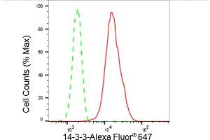Flow cytometric analysis of 14-3-3 expression in HepG2 cells using 14-3-3 antibody (ABIN7797413), 1:2,000). (Recombinant 14-3-3 theta antibody)