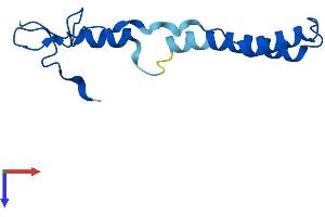 AlphaFold protein structure predicition of Human Recombinant CHCHD1 Protein, UniprotID Q96BP2 (CHCHD1 Protein (AA 1-118) (His tag))