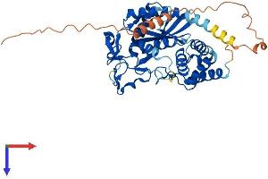 AlphaFold protein structure predicition of Mouse Recombinant Mab21L3 Protein, UniprotID Q8CI17 (MAB21L3 Protein (AA 1-429) (His tag))
