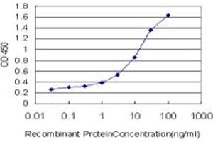 Detection limit for recombinant GST tagged FOXF2 is approximately 0. (FOXF2 antibody  (AA 346-443))