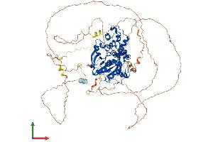 Protein Structure (PS) image for Exonuclease 1 (EXO1) (AA 1-837) protein (His tag) (ABIN7565163)