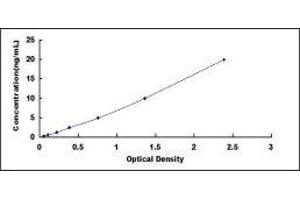 Typical standard curve (S100A2 ELISA Kit)