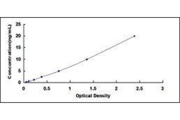 S100A2 ELISA Kit
