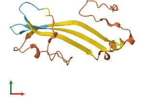 AlphaFold protein structure predicition of Human Recombinant LINC01561 Protein, UniprotID Q8N1V8 (C10ORF85 Protein (AA 1-128) (His tag))