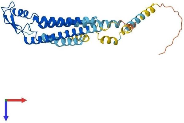 GJB1 Protein (AA 1-283) (His tag)