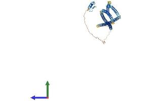 AlphaFold protein structure predicition of Human Recombinant TNIP2 Protein, UniprotID Q8NFZ5 (TNIP2 Protein (AA 1-429) (His tag))
