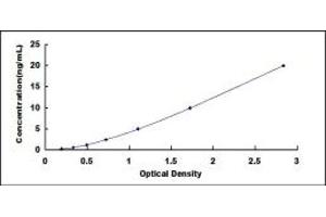 Typical standard curve (PDK4 ELISA Kit)