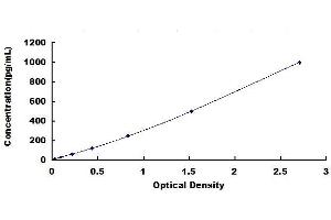 Typical standard curve (HGF ELISA Kit)