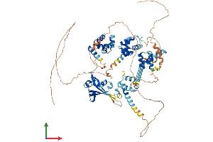 Protein Structure (PS) image for SATB Homeobox 1 (SATB1) (AA 1-763) protein (His tag) (ABIN7555333)