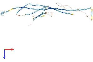 AlphaFold protein structure predicition of Human Recombinant RNF40 Protein, UniprotID O75150 (RNF40 Protein (AA 1-1001) (His tag))