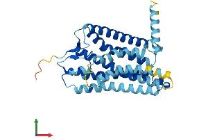 AlphaFold protein structure predicition of Human Recombinant OR4L1 Protein, UniprotID Q8NH43 (OR4L1 Protein (AA 1-312) (His tag))