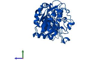 Protein Structure (PS) image for Alcohol Dehydrogenase 4 (Class II), pi Polypeptide (ADH4) (AA 1-380) protein (His tag) (ABIN7552030)