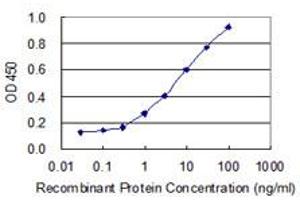 Detection limit for recombinant GST tagged U2AF1 is 0. (U2AF1 antibody  (AA 56-155))