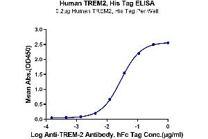 Immobilized Human TREM2, His Tag at 2 μg/mL (100 μL/well) on the plate.