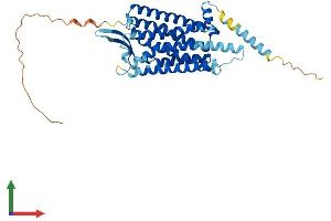 Protein Structure (PS) image for Neuropeptide Y Receptor Y2 (NPY2R) (AA 1-381) protein (His tag) (ABIN7556775)