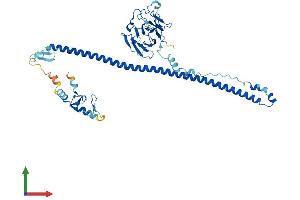 Protein Structure (PS) image for Tripartite Motif Containing 62 (TRIM62) (AA 1-475) protein (His tag) (ABIN7544722)