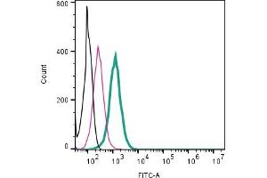 Cell surface detection of C3aR1 by direct flow cytometry in live intact mouse  microglia cell line: + Rabbit IgG Isotype Control-FITC (ABIN7582044).