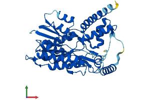 AlphaFold protein structure predicition of Mouse Recombinant Hsd3b3 Protein, UniprotID P26150 (Hsd3b3 Protein (AA 1-373) (His tag))
