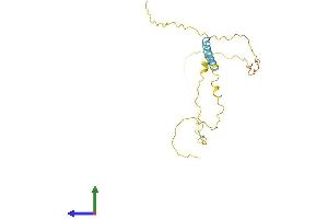 Protein Structure (PS) image for Transcription Elongation Factor A (SII)-Like 5 (TCEAL5) (AA 1-206) protein (His tag) (ABIN7544299)