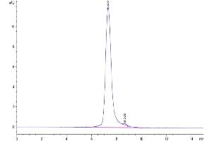 Size-exclusion chromatography-High Pressure Liquid Chromatography (SEC-HPLC) image for Tumor Necrosis Factor Receptor Superfamily, Member 8 (TNFRSF8) (AA 27-394) protein (His tag) (ABIN7274125)