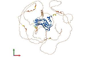Protein Structure (PS) image for Eomesodermin (EOMES) (AA 1-686) protein (His tag) (ABIN7553854)