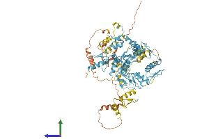 AlphaFold protein structure predicition of Human Recombinant ZNF840P Protein, UniprotID A6NDX5 (ZNF840 Protein (AA 1-716) (His tag))