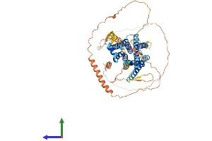 Protein Structure (PS) image for Adrenergic Receptor, alpha 1d (ADRA1D) (AA 1-572) protein (His tag) (ABIN7551860)