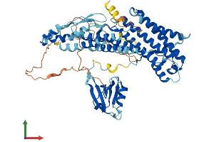 AlphaFold protein structure predicition of Human Recombinant RHPN2P1 Protein, UniprotID A8MT19 (RHPN2P1 Protein (AA 1-583) (His tag))