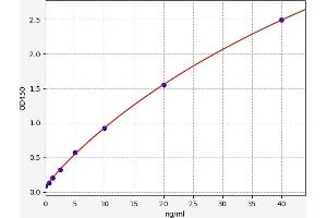 Typical standard curve (SLC1A3 ELISA Kit)