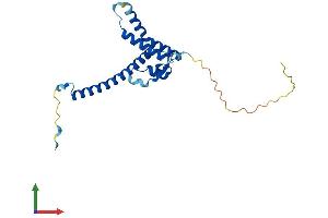 AlphaFold protein structure predicition of Human Recombinant TMA16 Protein, UniprotID Q96EY4 (C4orf43 Protein (AA 1-203) (His tag))