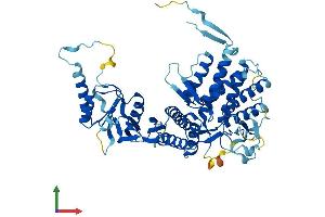 AlphaFold protein structure predicition of Human Recombinant MKKS Protein, UniprotID Q9NPJ1 (MKKS Protein (AA 1-570) (His tag))