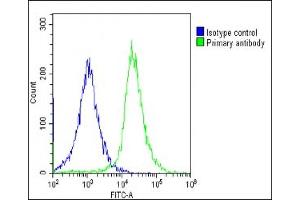 Overlay histogram showing HepG2 cells stained with (ABIN6243007 and ABIN6578664)(green line). (PPID antibody  (AA 336-370))