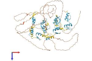 Protein Structure (PS) image for Zinc Finger Protein, X-Linked (ZFX) (AA 1-805) protein (His tag) (ABIN7545256)