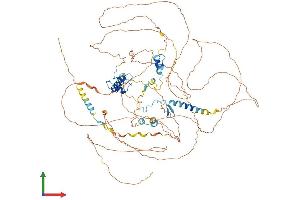 AlphaFold protein structure predicition of Human Recombinant ATXN7 Protein, UniprotID O15265 (ATXN7 Protein (AA 1-892) (His tag))