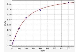 C5b-9 ELISA Kit
